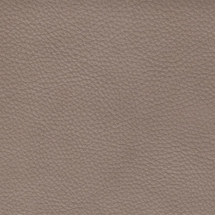 Dream Taupe