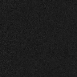 Embrace Black