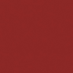 Embrace Cardinal