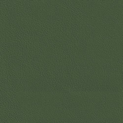 Embrace Evergreen