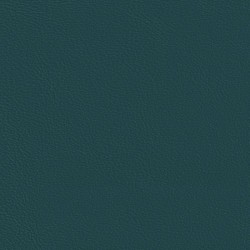 Embrace Mariner