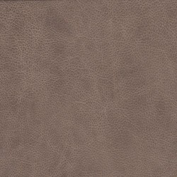 Lyric Taupe