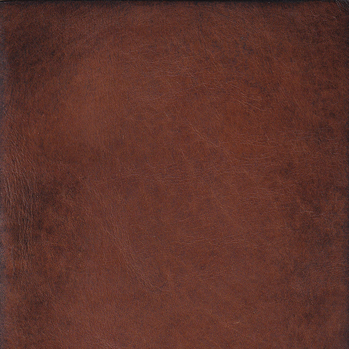 Hyde Park Mocha Burnished