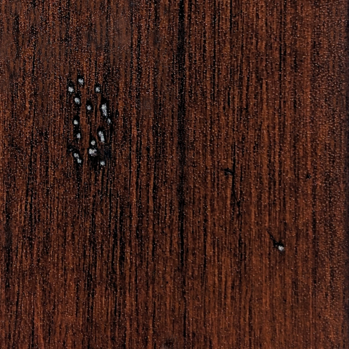 Nutmeg